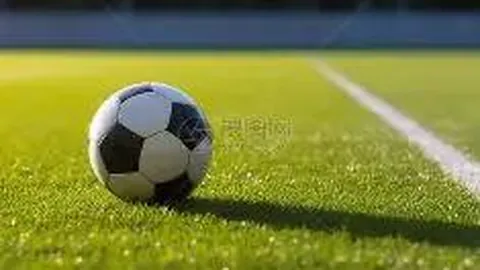 激情主场迎战王者之师，塞尔塔能否续写胜利传奇？